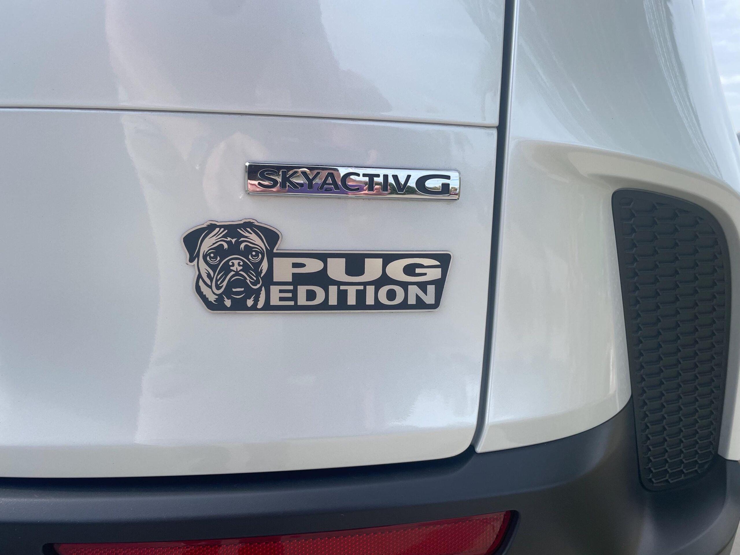 car emblem 1